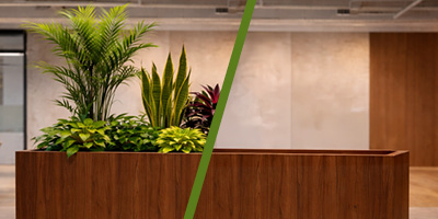 producten soorten planten